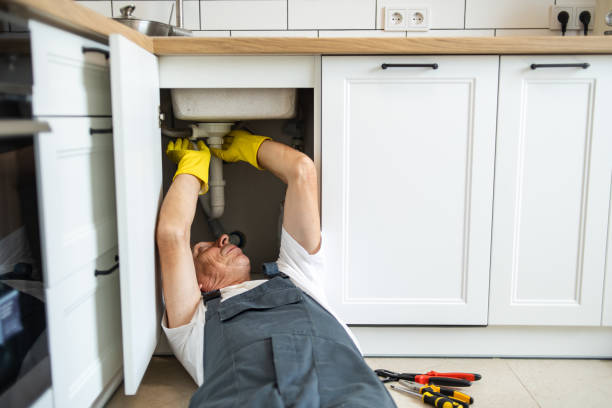Best Plumbing Inspection Services  in Emigration Canyon, UT